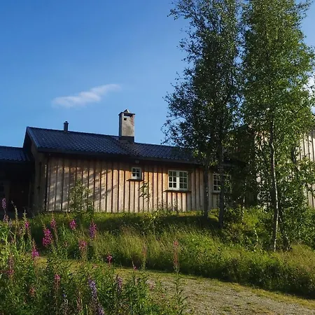 Sunny And Beautiful In