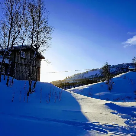 Vakantiehuis Sunny And Beautiful In *