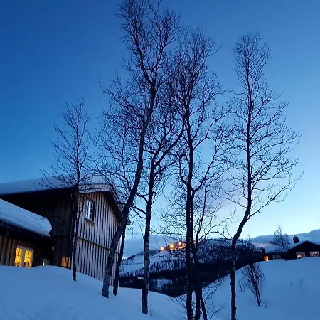 Sunny And Beautiful In Geilo